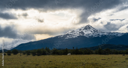 a white horse  in front of a mountain landscape under sunset clouds © Yan