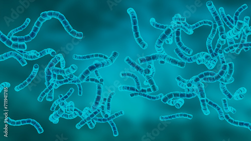 Photos Streptomyces are a group of filamentous bacteria important in the decomposition