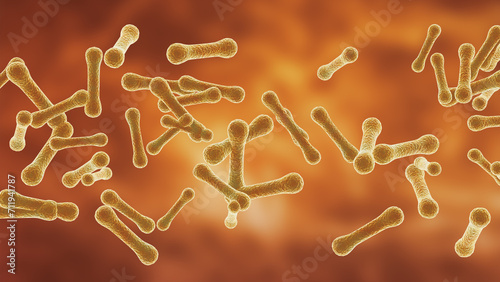 Bild auf Leinwand Corynebacterium is a genus of small bacillary bacteria in the family Corynebacte