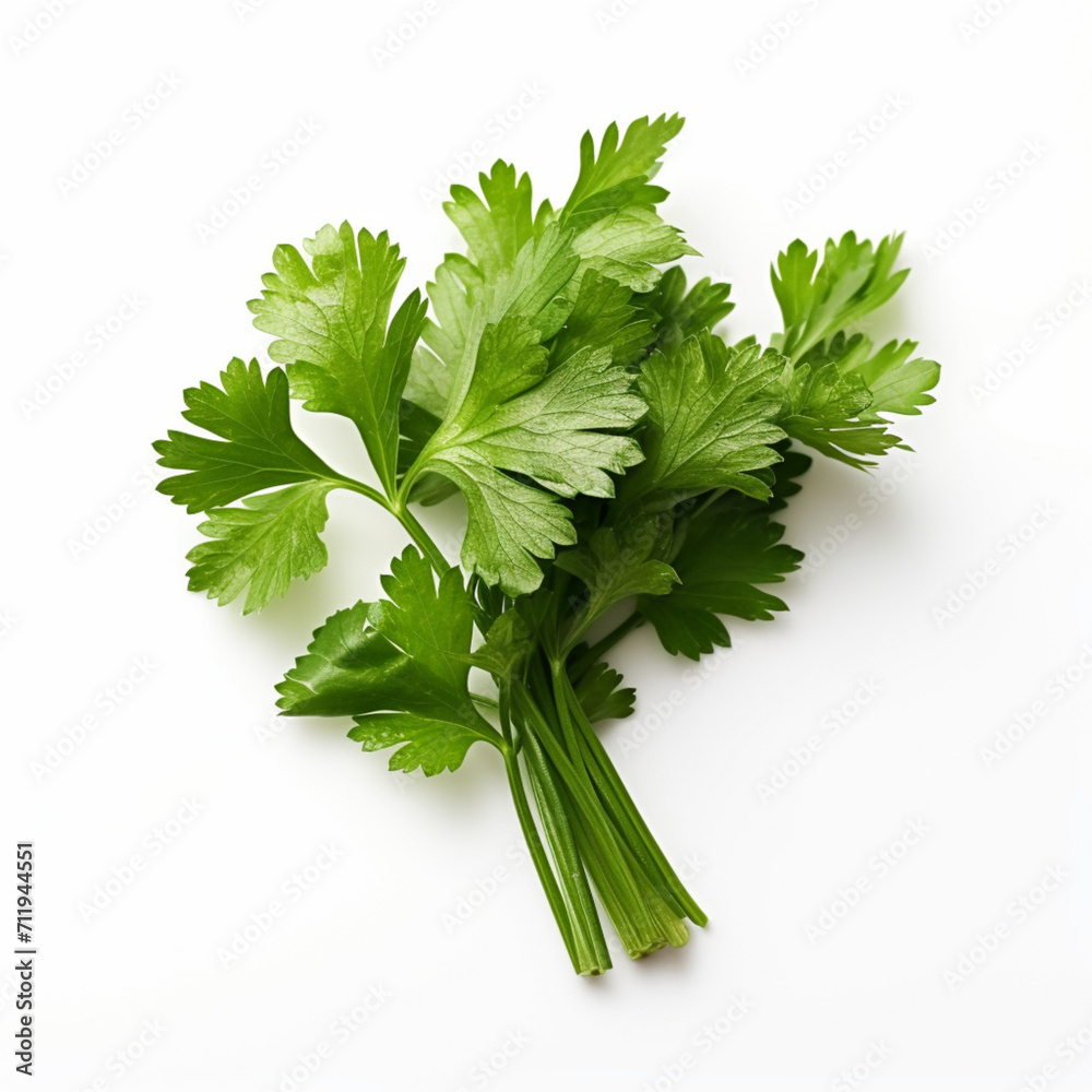 parsley isolated on white. Generative AI parsley isolated on white. Generative AI