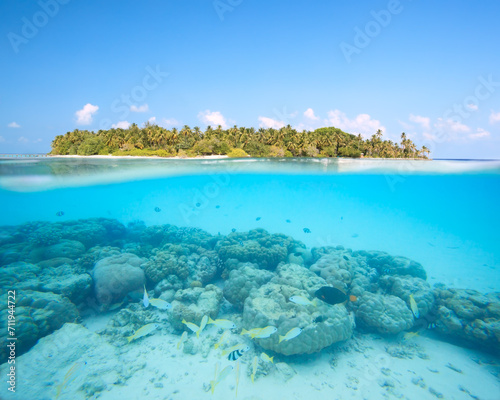 Split image over and underwater, tropical island in the Maldives and reef full of colorful fish photo