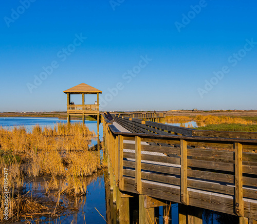 Observation Tower and Boardwalk at Leonabelle Turnbull Birding Center, Port Aransas, Texas, USA