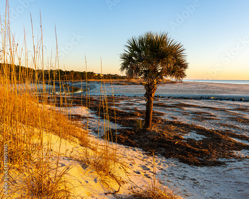 The Corner Palm and Sand Dunes on Singleton Beach, Hilton Head, South Carolina, USA