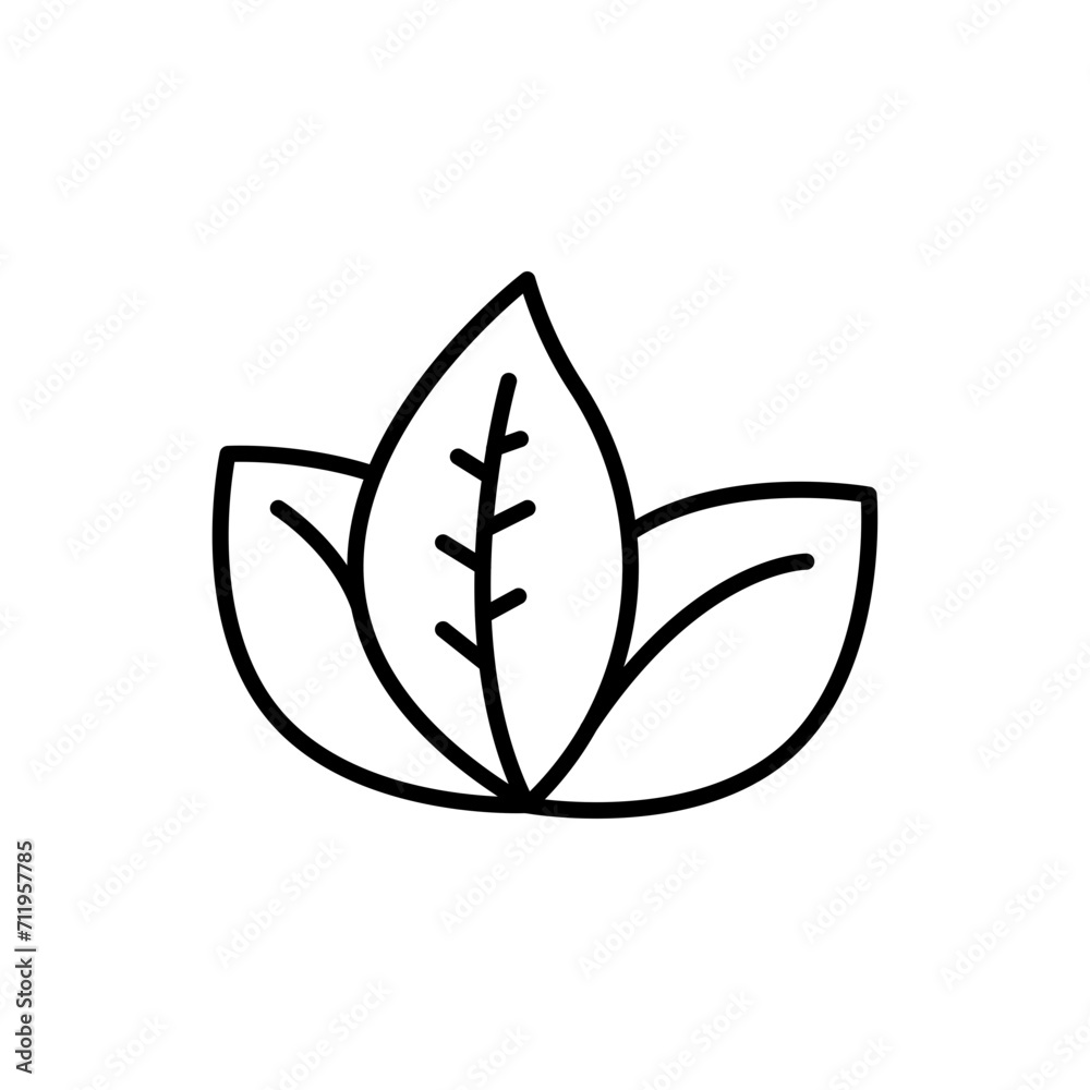 Leaf outline icons, minimalist vector illustration ,simple transparent graphic element .Isolated on white background Leaf outline icons, minimalist vector illustration ,simple transparent graphic element .Isolated on white background