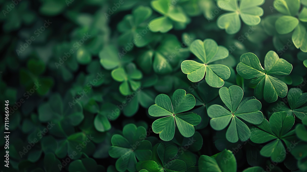 Saint Patricks Day Celebration. Green Clover and Shamrock, copy space Saint Patricks Day Celebration. Green Clover and Shamrock, copy space