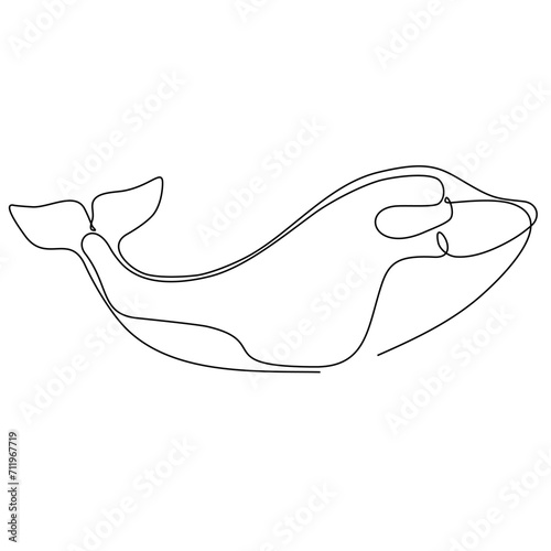 continuous line art fish vector illustration