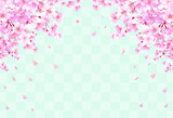 桜の和風フレーム背景　和柄　市松模様　桜吹雪　飾り枠　素材　お花見　入学　卒業　入園　卒園　入社　ひなまつり　ひな祭り