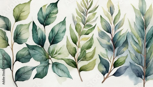 Watercolor floral collection. Illustration set with green wild leaves.