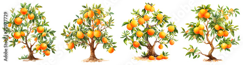 Watercolor orange tree clipart for graphic resources