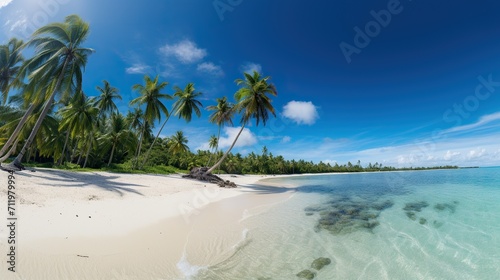 beach views with coconut trees  bright blue skies  stunning tropical beach views. Clear white sand beach on a summer day.