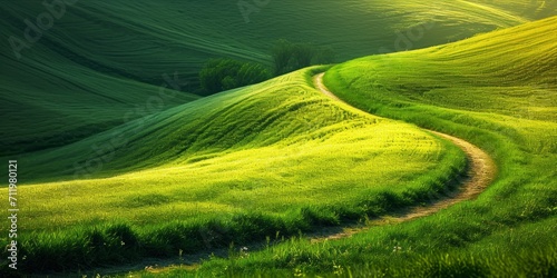 A narrow path splitting through a lush green field. © ParinApril