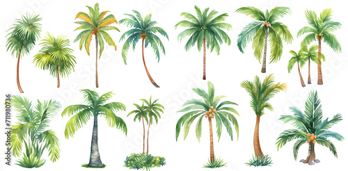 Watercolor palm and coconut tree clipart for graphic resources photo