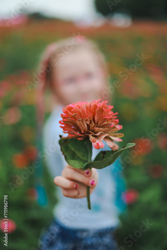 close up on a fresh-cut red flower which is held by a girl 