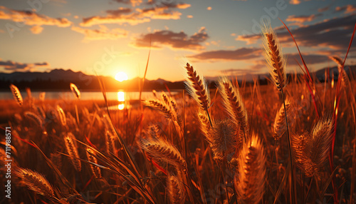 Sunset over a meadow, nature beauty in a tranquil landscape generated by AI