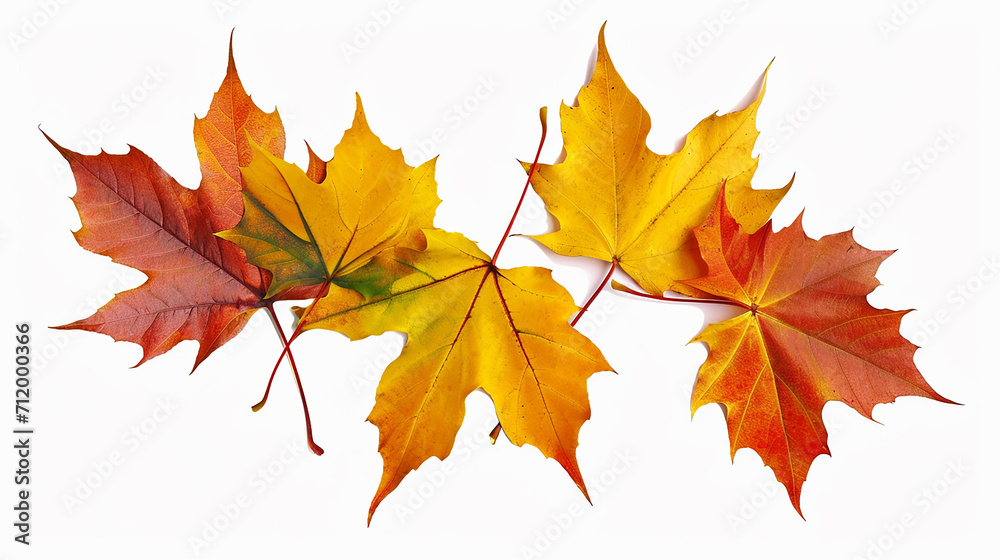 autumn background with leaves autumn background with leaves