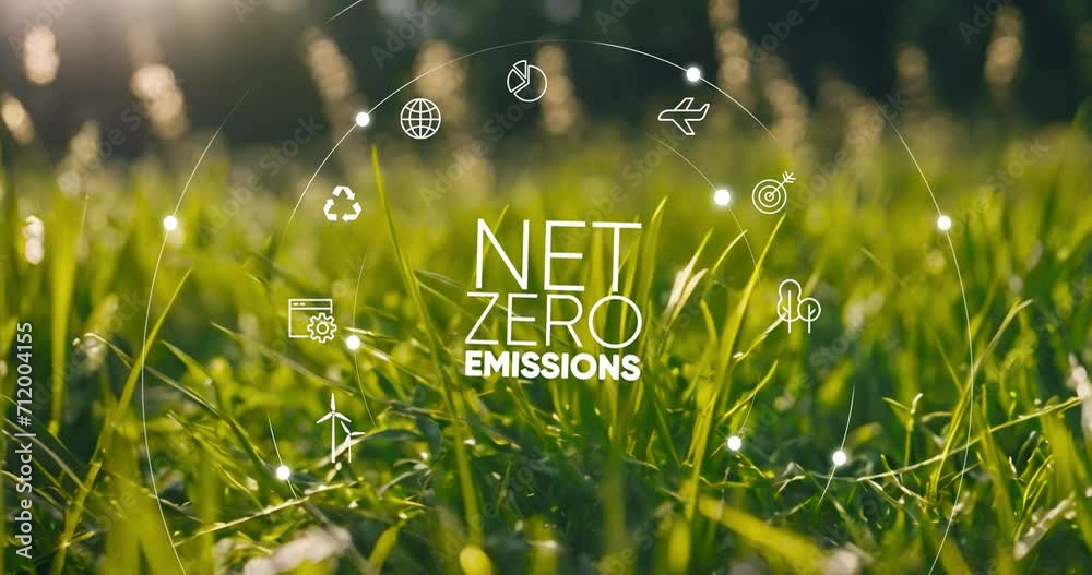 Net zero and carbon neutral concept.Globe Glass with Net zero icons