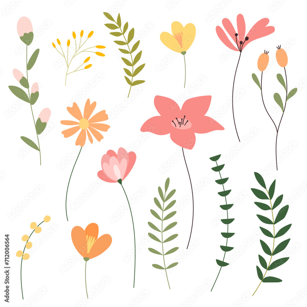 Flowers and plants in color to decorate different designs. A collection of flowers, a botanical arrangement for weddings in color isolated on a white background.