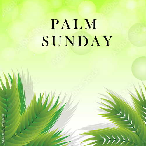 palm sunday vector illustration background. it is suitable for card, banner, or poster