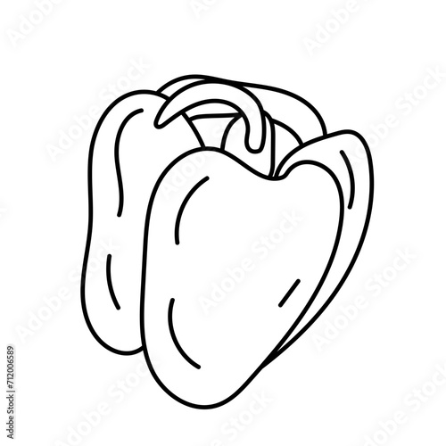 Doodle illustration of sweet bell pepper, paprika, in black and white, black line, isolated on white. Vegetable.