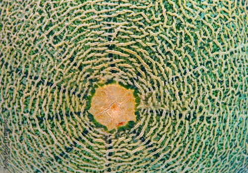 Cantaloupe background and texture  close up