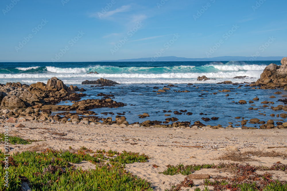 Monterey California shoreline landscape and birds.