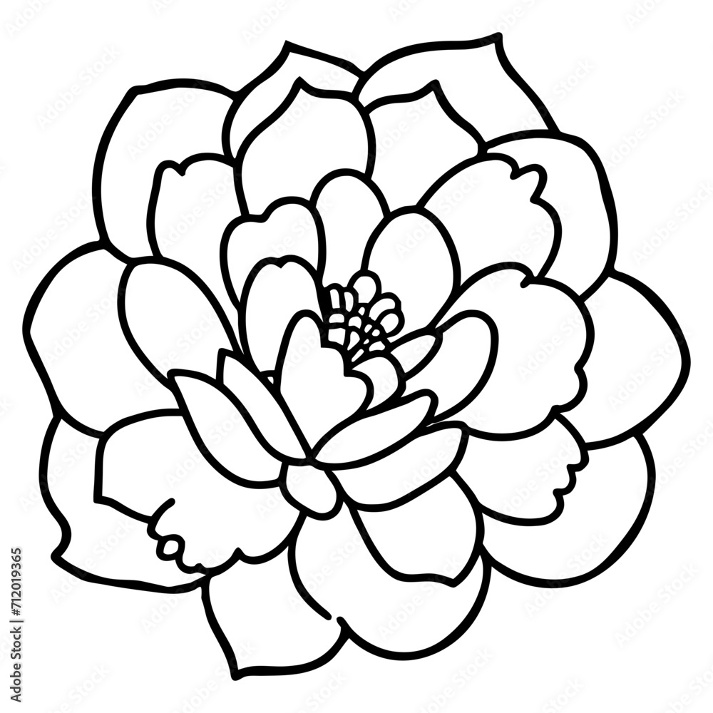 Hand drawn simple flower illustration Hand drawn simple flower illustration