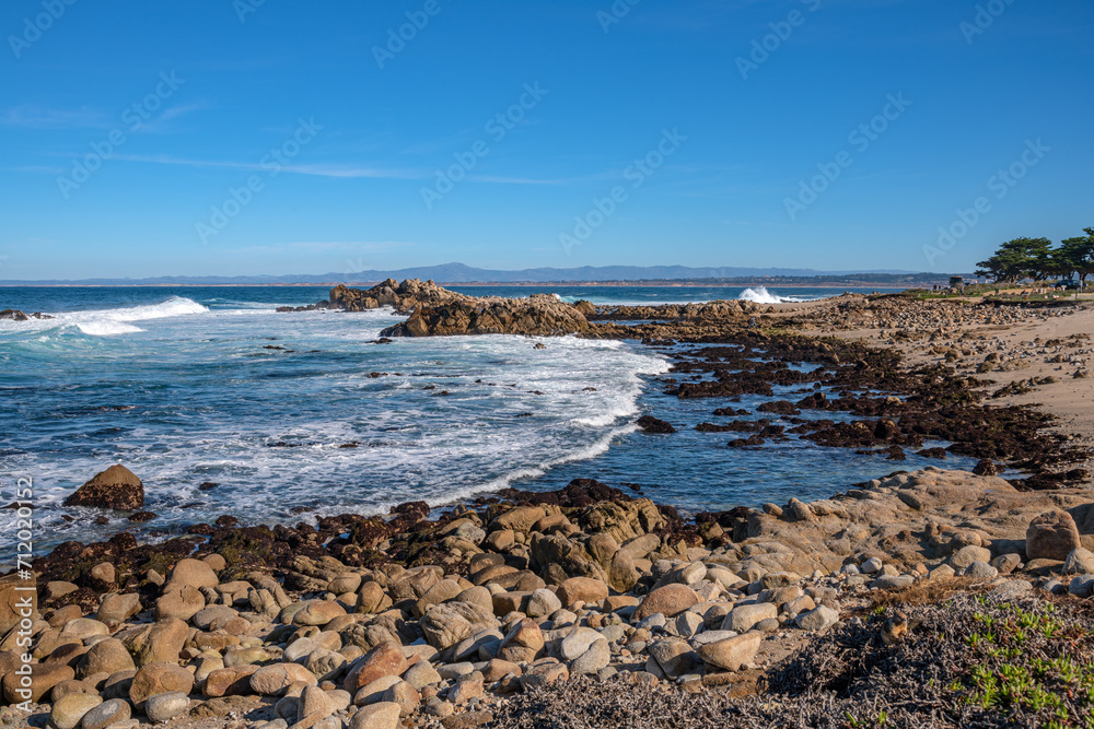 Monterey California shoreline landscape and birds. Monterey California shoreline landscape and birds.