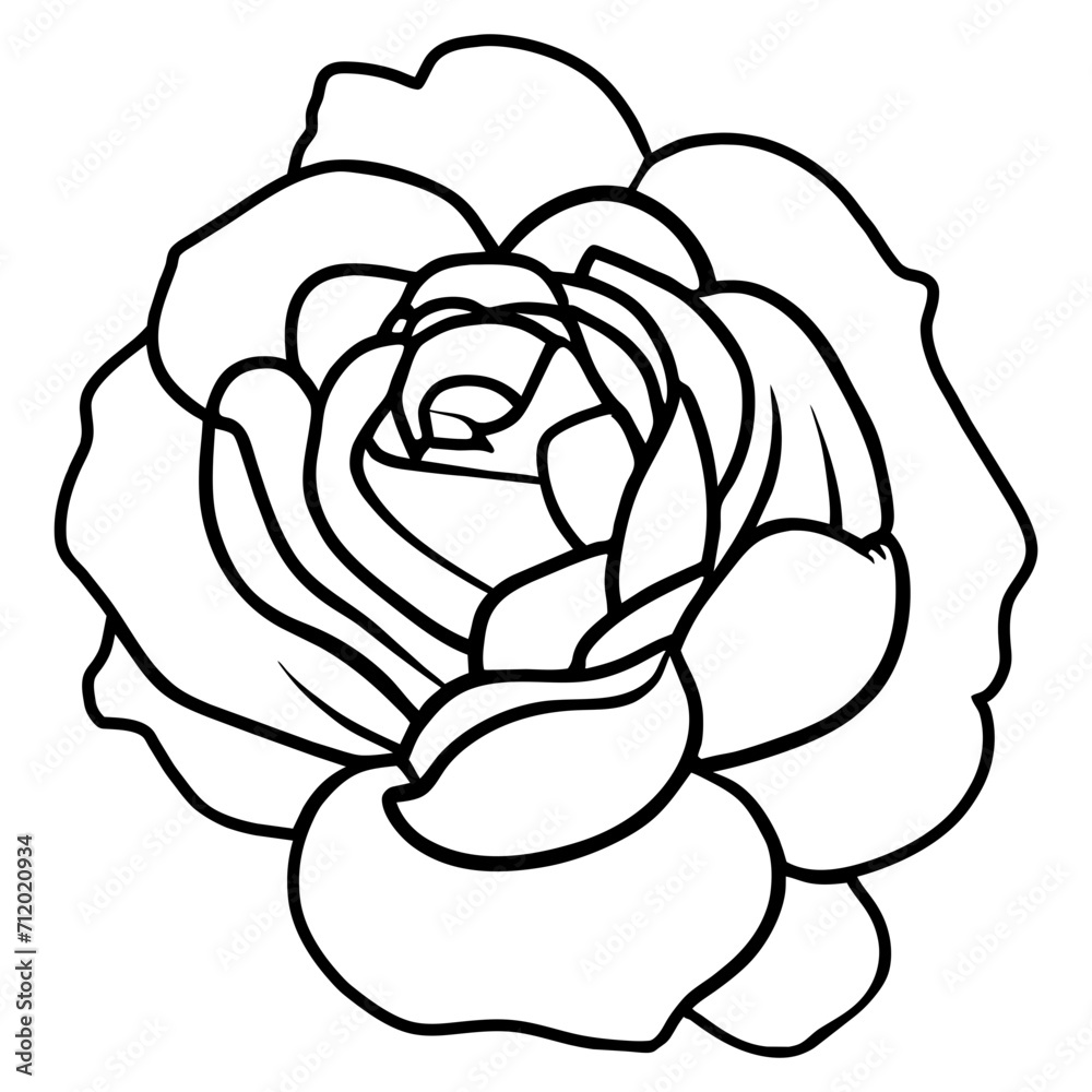 Hand drawn simple flower illustration Hand drawn simple flower illustration