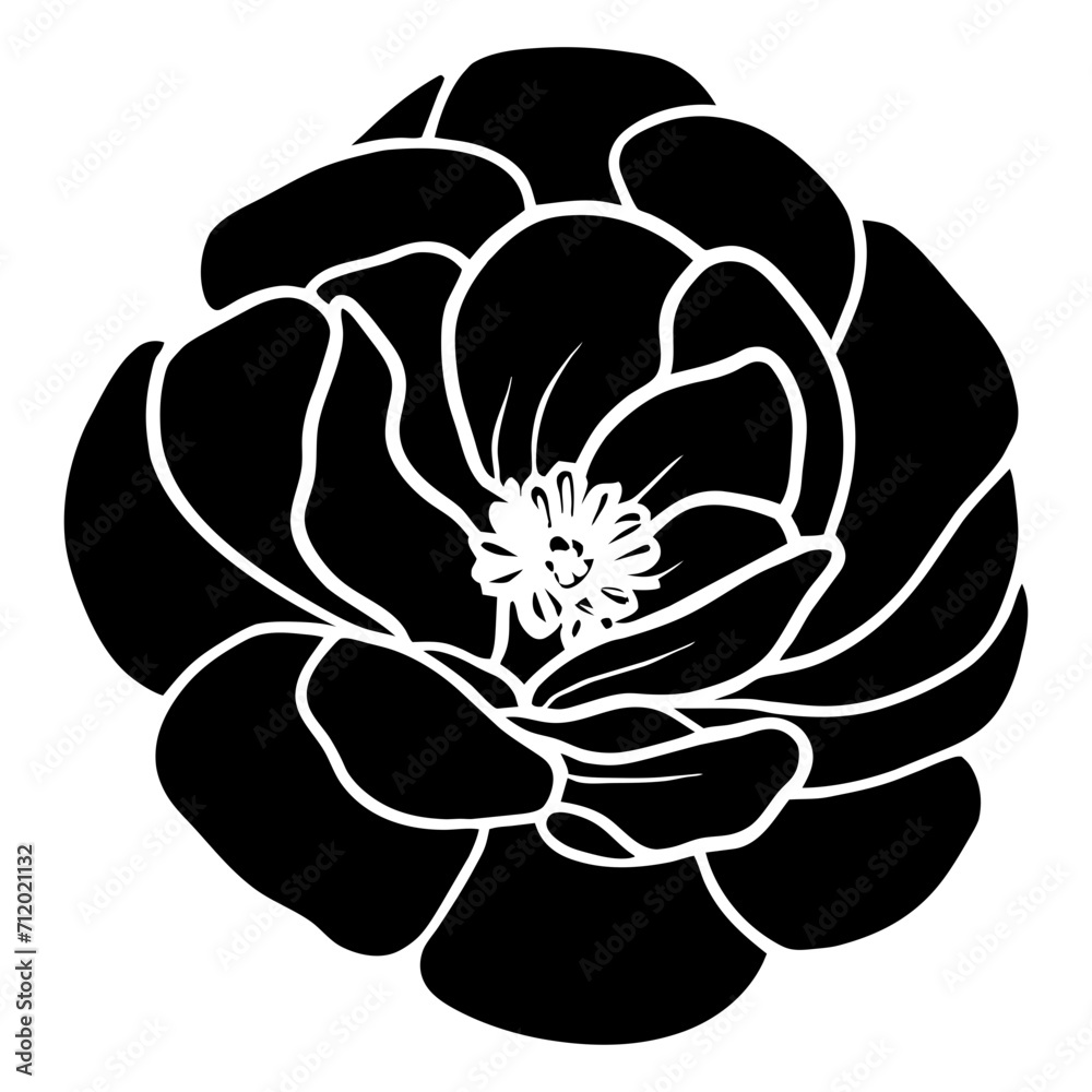 Hand drawn simple flower illustration Hand drawn simple flower illustration