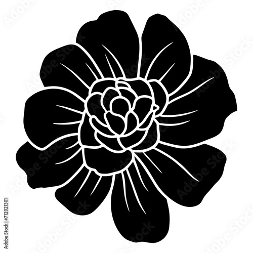 Hand drawn simple flower illustration