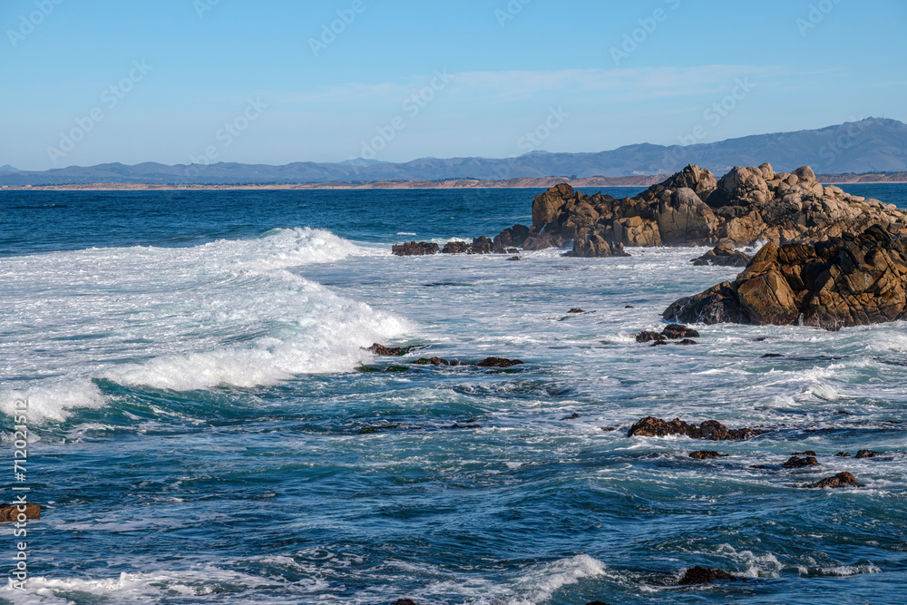 Monterey California shoreline landscape and birds.