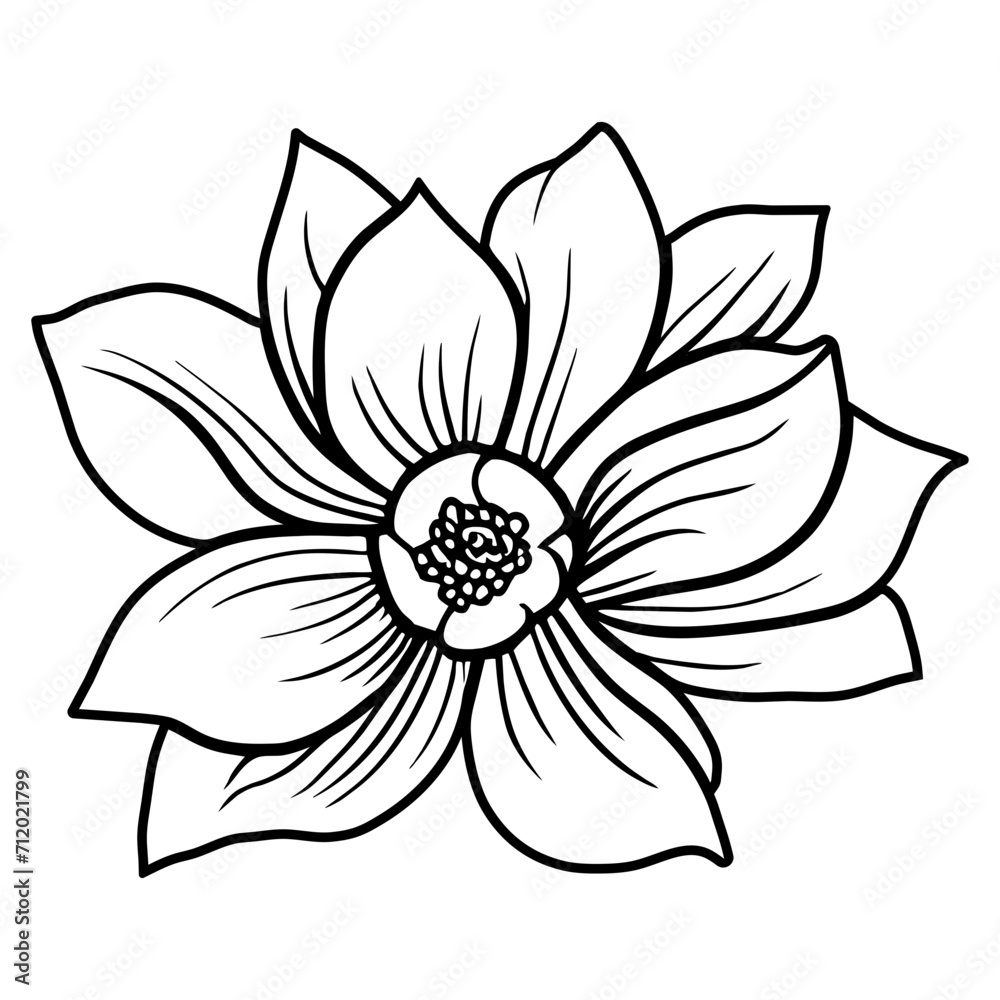Hand drawn simple flower illustration