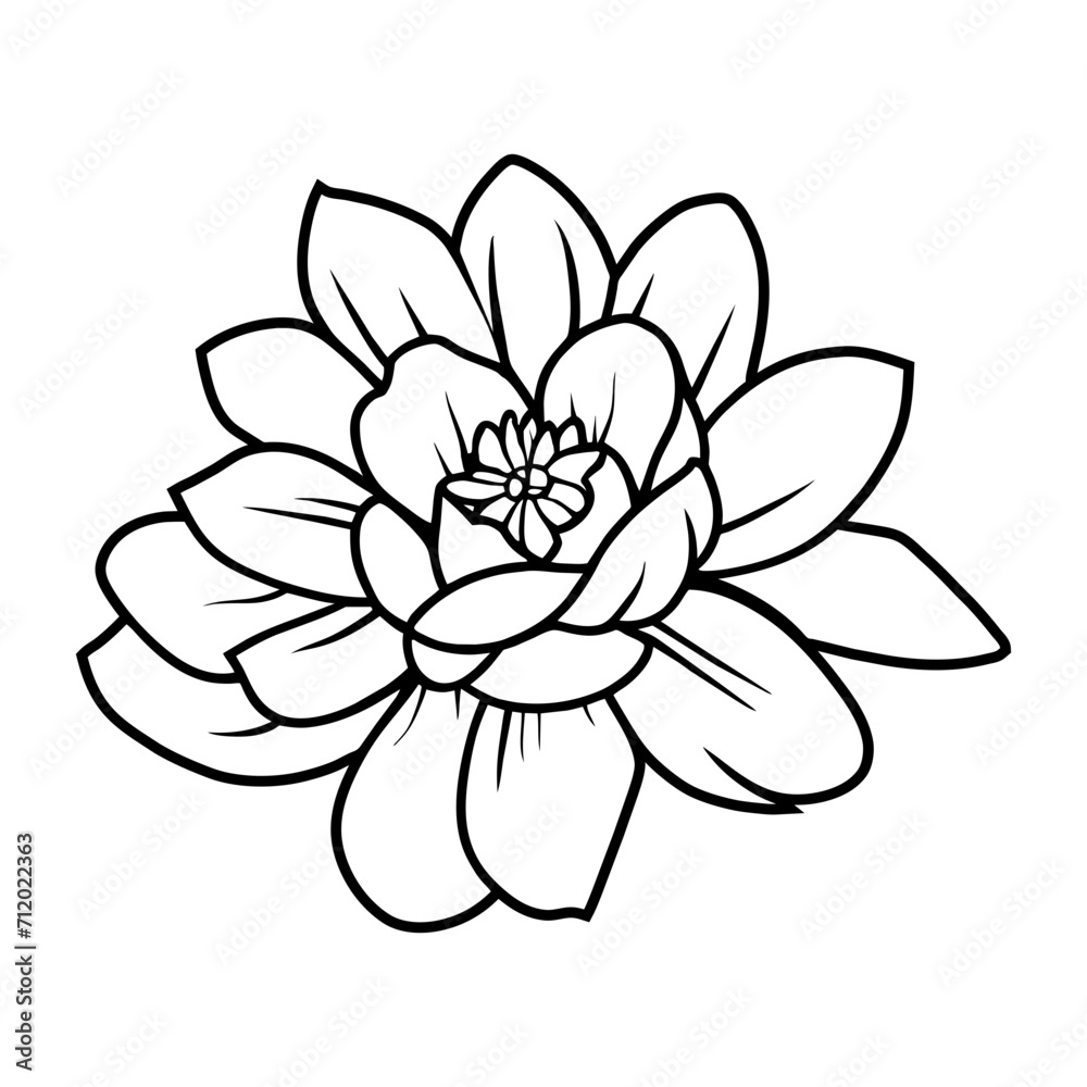 Hand drawn simple flower illustration Hand drawn simple flower illustration