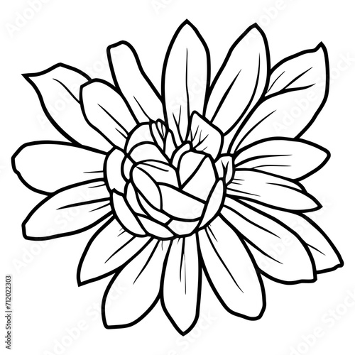 Hand drawn simple flower illustration