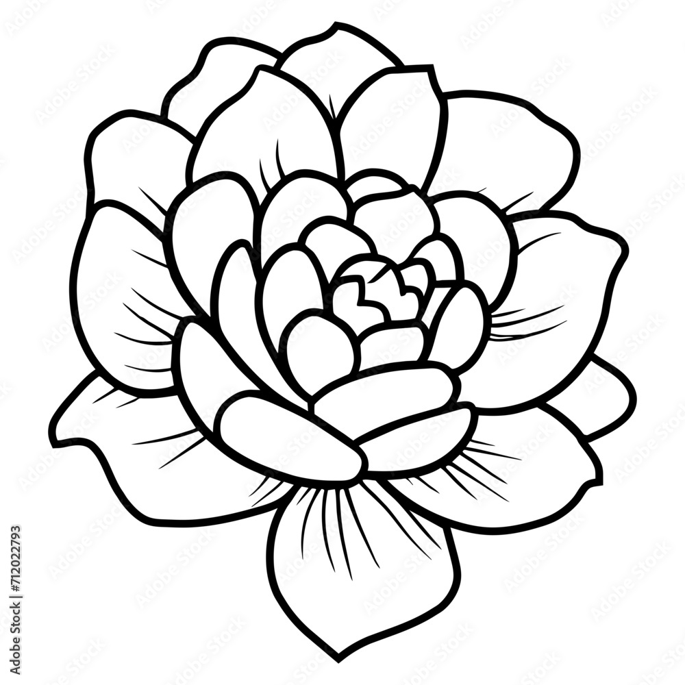 Hand drawn simple flower illustration Hand drawn simple flower illustration