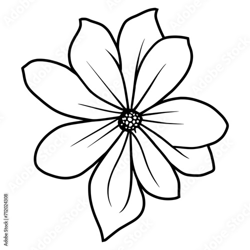 Hand drawn simple flower illustration