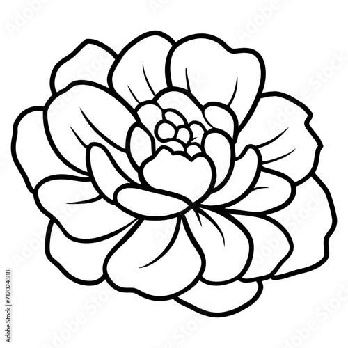 Hand drawn simple flower illustration