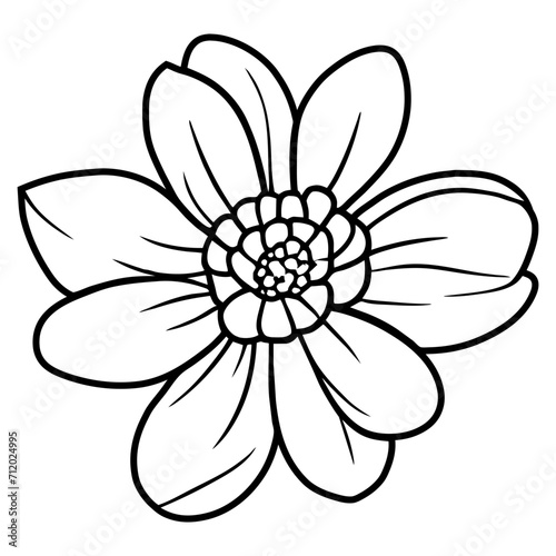 Hand drawn simple flower illustration