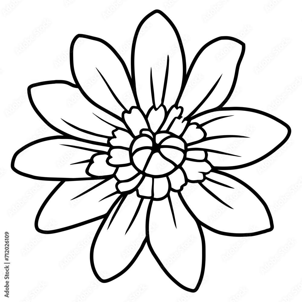 Hand drawn simple flower illustration