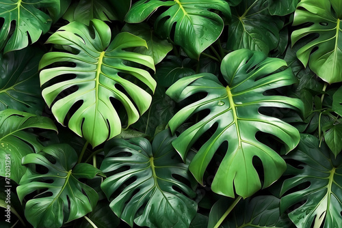Realistic 3d green Monstera Leaves with Seamless Pattern Background with. Generative AI 