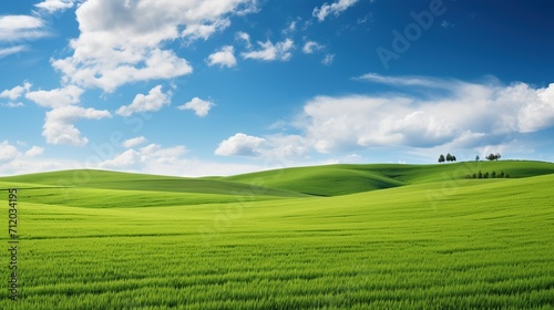 a field of green grass under a blue sky, Nature Landscape with Lush Greenery. © Mas