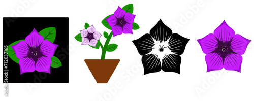 Bellflower set, garden flowers and decorative green plants isolated on white background. Collection of floral decorations, lavender, eucalyptus, delphinium and bluebell. Flat vector illustration