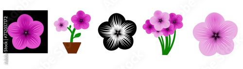 Phlox flower set, hand drawn pink Phlox flower. Can be used as print, postcard, package design, invitation, greeting card, textile, stickers.