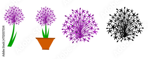 Allium flower set. drawing beauty fresh allium globemaster for home art wall decor poster print. Decorative giant onion flower concept for greeting card. Single line draw design vector illustration