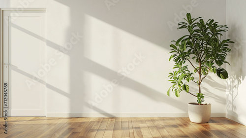 indoor plant on wooden floor with empty white concrete wall background. Ai Generative
