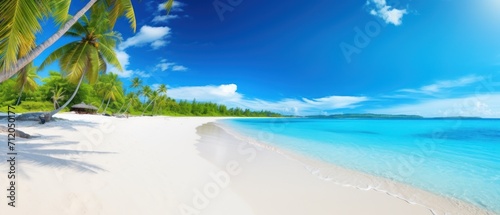 Beautiful sand and coco palms tropical beach wide panorama background © setiadio