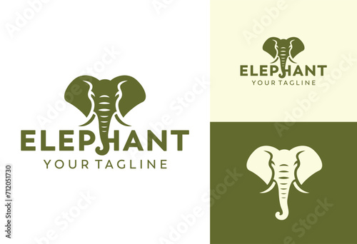 elephant logo design vector illustration