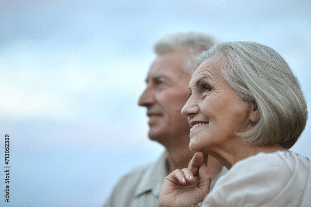 Portrait of happy senior couple at summer day