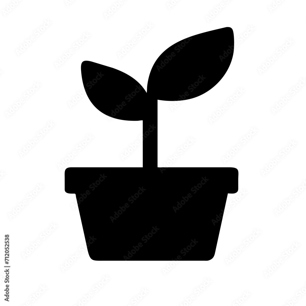 seedlings seedlings
