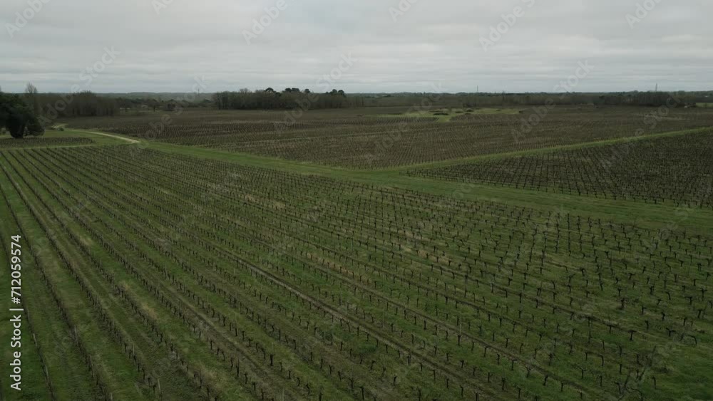 Pugnac vineyards from above, Bordeaux, France - Aerial fly-over Pugnac vineyards from above, Bordeaux, France - Aerial fly-over